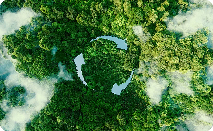 Sustainability