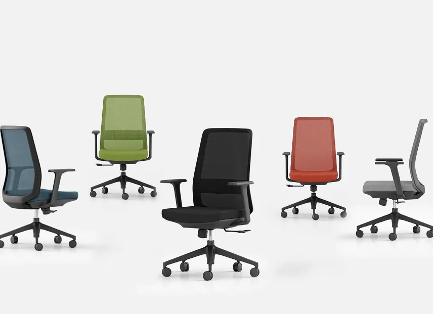 Ergonomic Comfort